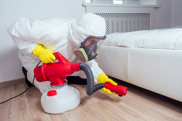 Best Pest Prevention Services  in Lake Riverside, CA