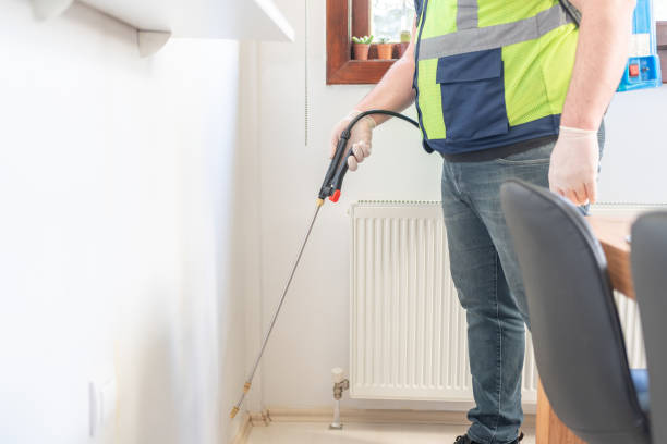 Best Termite Control Services  in Lake Riverside, CA