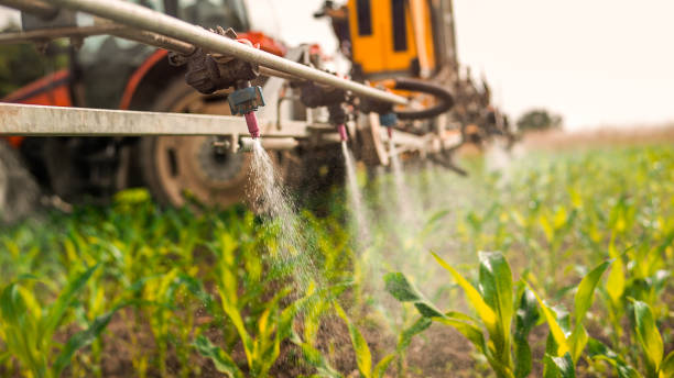 Best Ant Control Services  in Lake Riverside, CA